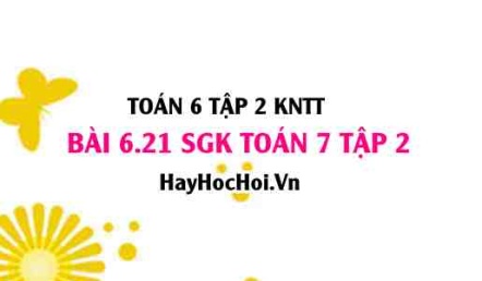 Bài 6.21 SGK Toán 7 tập 2 Kết nối tri thức